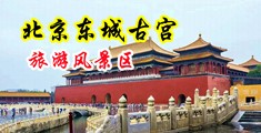 国产操BB中国北京-东城古宫旅游风景区