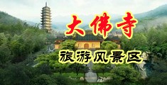 老阴户中国浙江-新昌大佛寺旅游风景区